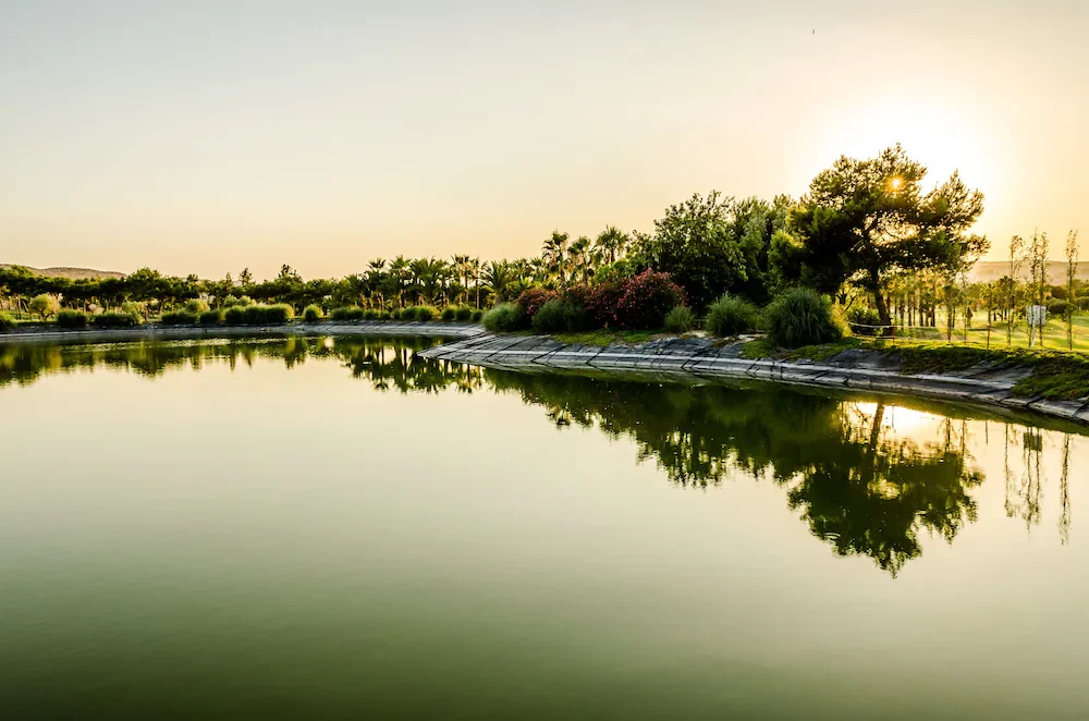 #altIMG Hotel# EL PLANTÍO GOLF RESORT #altIMG in# Alicante, Spain - #altIMG Image# 5